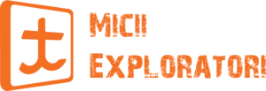 Imagine pentru Asociația Micii Exploratori